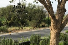 8-Chandalier-102919