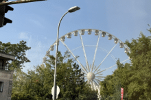 1_image