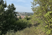 3_image