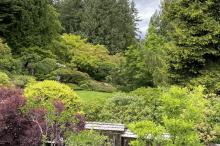 Butchart Gardens