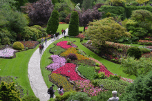Butchart Gardens