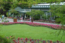 Butchart Gardens
