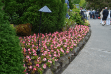 Butchart Gardens