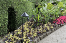 Butchart Gardens