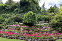 Butchart Gardens