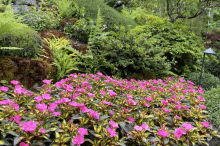 Butchart Gardens