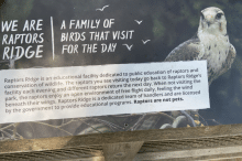 CAPILANO SUSPENSION BRIDGE