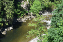CAPILANO SUSPENSION BRIDGE