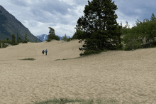 Carcross