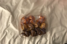IMG_3286-Fortune-Cookie-Isabel