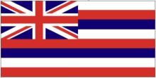 Hawaii Flag 120318