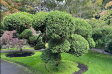 4_image