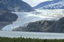 Mendenhall Glacier
