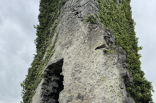9_image