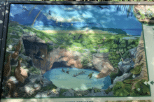 10_image