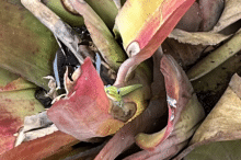 6_image