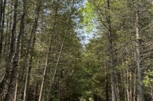 Peninsula-State-Park-1