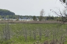 Peninsula-State-Park-3