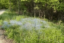 Peninsula-State-Park-7