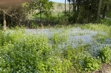 Peninsula-State-Park-8