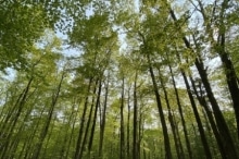 Peninsula-State-Park-9