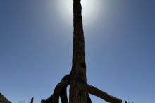 6_image