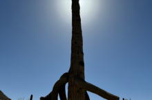 7_image