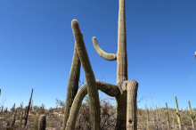 8_image