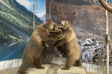 Skagway AK tour