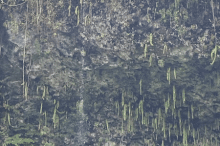 13_image