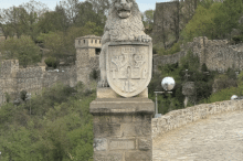 6_image