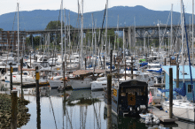 Vancouver City Tour