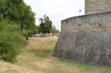4_image